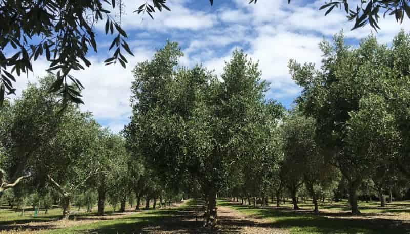 22 Lethbridge Road, Otaki