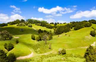  Otuhi Road, Maungatapere