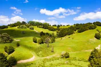  Otuhi Road, Maungatapere