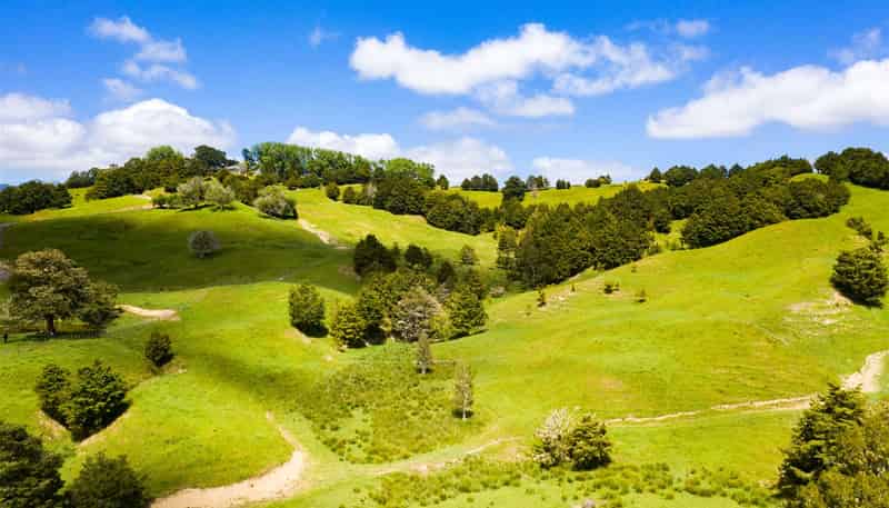  Otuhi Road, Maungatapere