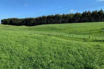 3124/3154 Old Taupo Road, South Waikato Surrounds
