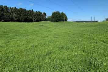 3124/3154 Old Taupo Road, South Waikato Surrounds