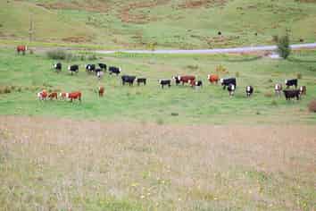 Lot 4 Parekura Road, Kaiwaka