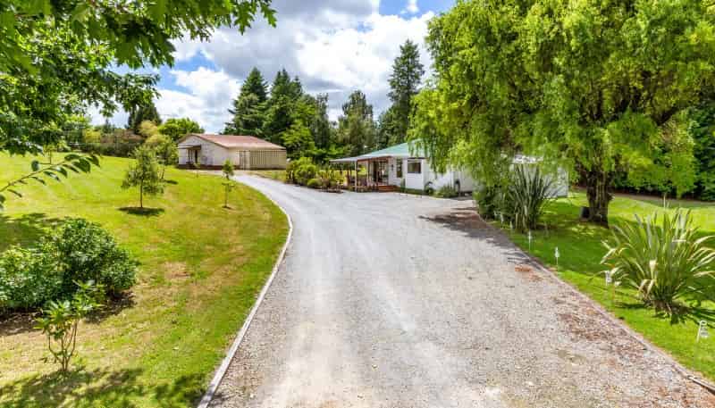 228 Palmer Mill Road, Wairakei and Surrounds