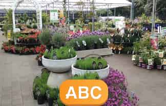 Exceptional Revenue of Over $2M