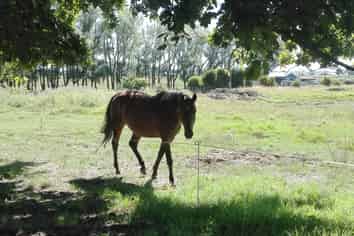 1 Warahoe Road, Matatoki