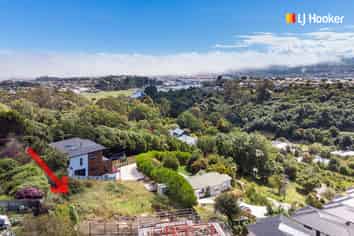 1 Lauriston Street, Andersons Bay