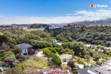 1 Lauriston Street, Andersons Bay