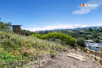 1 Lauriston Street, Andersons Bay