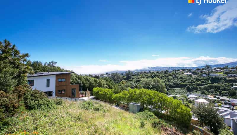 1 Lauriston Street, Andersons Bay