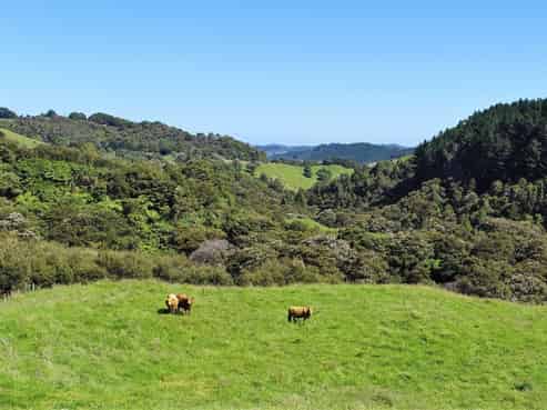 1103 State Highway 1, Himatangi