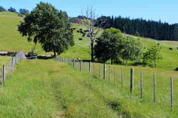  Monowai Road, Wainui
