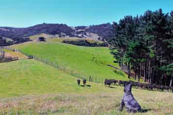  Monowai Road, Wainui