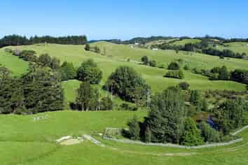  Monowai Road, Wainui