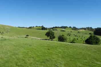  Monowai Road, Wainui