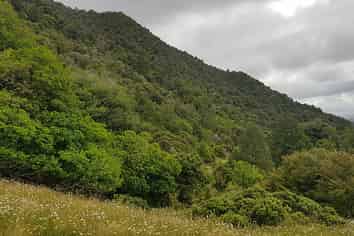 130-132 Powell Road, Herekino