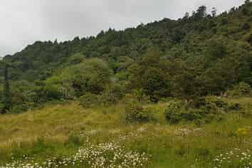 130-132 Powell Road, Herekino