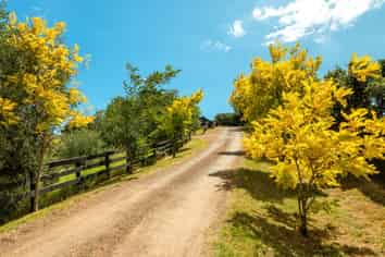421A Gordons Road, Waiheke Island