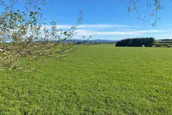 440 Downs Road South, Edendale