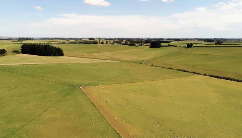 440 Downs Road South, Edendale