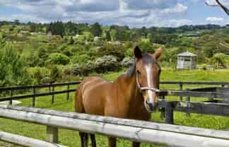 35 Mill Flat Road, Coatesville