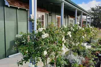 Hawkes Bay - Address withheld