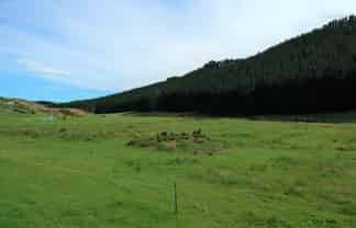  Boundary Creek Road, 
