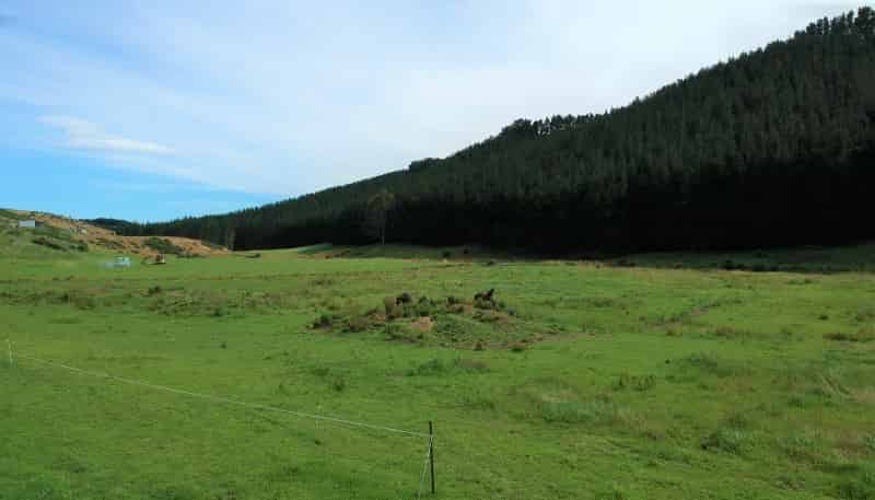  Boundary Creek Road, 