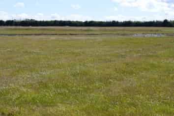 174 Racecourse Road, Allenton