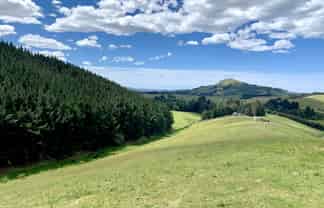 879 Palmerston-Waikouaiti Road, 