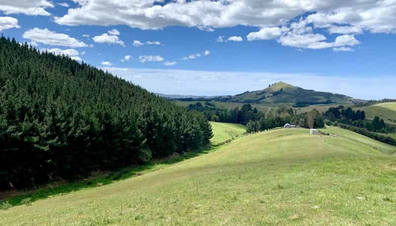 879 Palmerston-Waikouaiti Road, 