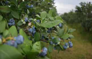 242a Omaha Flats Road, Omaha