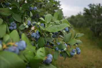 242a Omaha Flats Road, Omaha