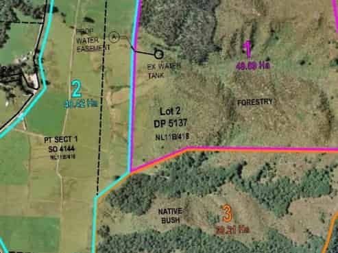 Lot 1 2094 Matakitaki Road, Murchison