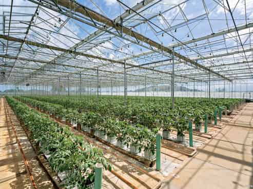 138 Fahey Road, Bombay