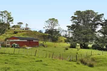 Lot 2 Rodney Road, Leigh