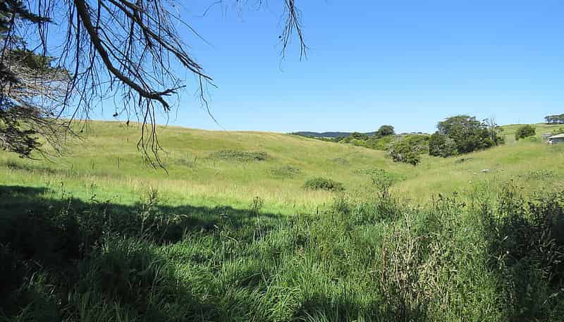 1514 State Highway 12, Paparoa