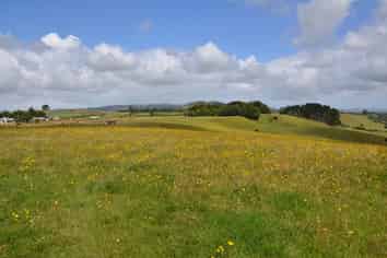 637D Kohanga Road, Onewhero