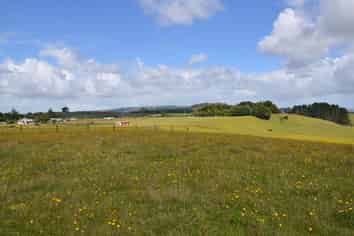 637D Kohanga Road, Onewhero