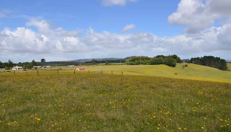 637D Kohanga Road, Onewhero