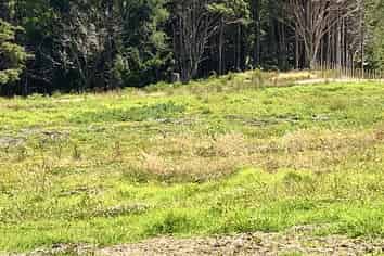 Auckland - Address withheld