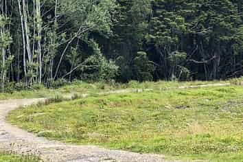 Auckland - Address withheld