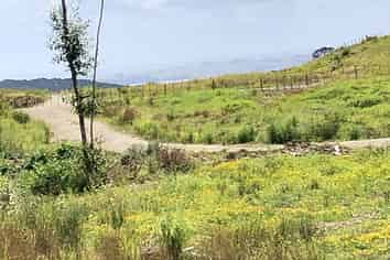 Auckland - Address withheld