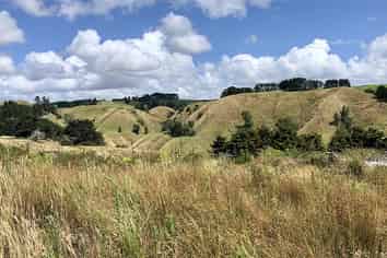 Auckland - Address withheld