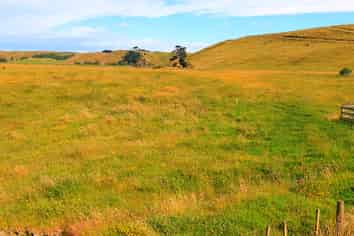 668 Patea Road, Patea