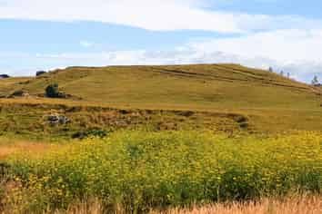 668 Patea Road, Patea