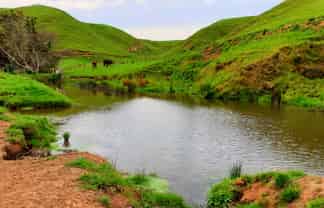 668 Patea Road, Patea