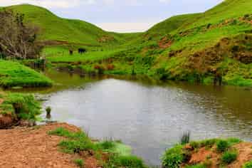 668 Patea Road, Patea