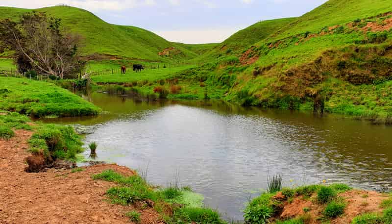 668 Patea Road, Patea