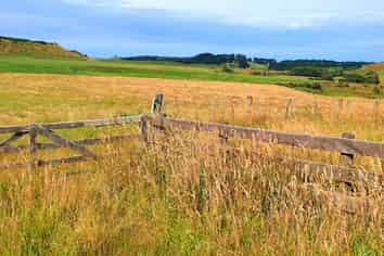 668 Patea Road, Patea